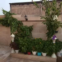 سویت اجاره ای تمیز امنیت بالا  پارکینگ دار|اجارهٔ کوتاه‌مدت آپارتمان و سوئیت|بروجرد, |دیوار