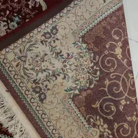 قالیچه های 1.5 و 2 متری|فرش|شیراز, قدوسی غربی|دیوار