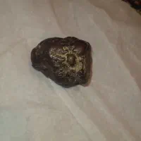 فروش چندقطعه سنگ مشکوک به شهابسنگ|کلکسیون اشیاء عتیقه|شیراز, شهرک مخابرات|دیوار