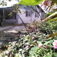 زمین ۴۳۰متری با خانه ۷۰متری|فروش زمین و ملک کلنگی|رضوانشهر, |دیوار