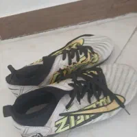 کفش چمن