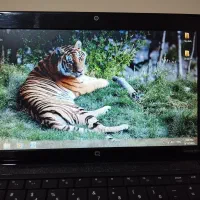 لبتاب compaq mini HPبسیار سالم