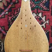 سه تار حرفه ای آقای حسنی