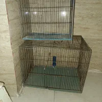 قفس پرنده