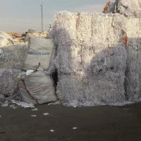 پوشال میوه|عمدهفروشی|کندوان, |دیوار