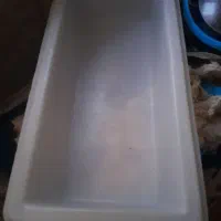 وان پلاستیکی