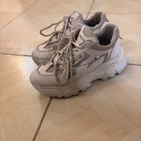 کفش|کیف، کفش، کمربند|گرگان, |دیوار