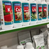 فروش ویژه محصولات فروغ دشت