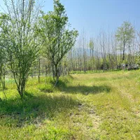 زمین مسکونی روستایی ، لوکیشن بکر ویو ابدی/ گردکوه|فروش زمین و ملک کلنگی|لاهیجان, حزین|دیوار