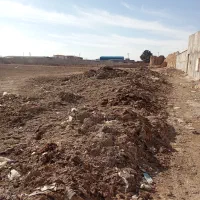 کود بلدرچین|خدمات باغبانی و درختکاری|زرندیه, |دیوار