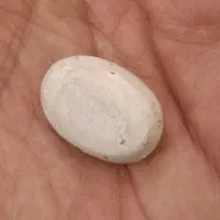 فیروزه عقیق نقره گردنی یمنی|جواهرات|تهران, دکتر هوشیار|دیوار