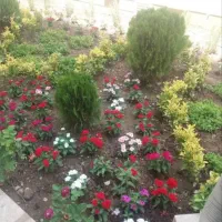 اصول نگهداری گیاهان داخلی و بیرونی|خدمات باغبانی و درختکاری|تهران, قلهک|دیوار