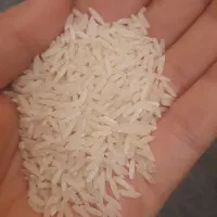 برنج هاشمی|خوردنی و آشامیدنی|چهاردانگه (تهران), |دیوار