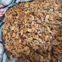برگه قیصی