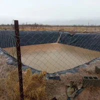 باغ آلبالو و زرد آلو