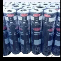 ایزوگام شرق