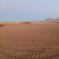 اجاره زمین کشاورزی|اجارهٔ دفتر صنعتی، کشاورزی، تجاری|چهاردولی, |دیوار