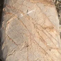 سنگ باستانی زیبا|کلکسیون اشیاء عتیقه|خمینیشهر, |دیوار