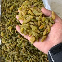 کشمش سبز کاشمر