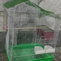 قفس پرنده