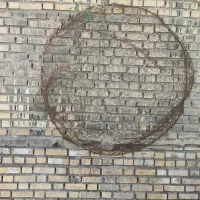 گرگور ماهی گیری
