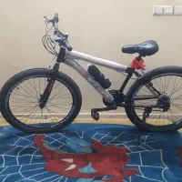 دوچرخه‌ی ویوا دنده‌ای نو و اک