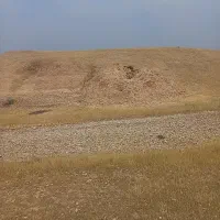 طلا
