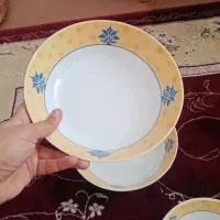 سرویس ملامین ۴۱ پارچ نو|ظروف سرو و پذیرایی|فسا, |دیوار