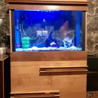 اکواریوم۱۲۰×۸۰