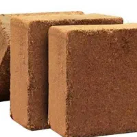 فروش کوکوپیت