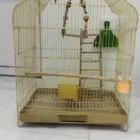 قفس پرنده