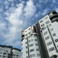 مجتمع ارگ یک خواب نوار ساحلی مرجان
