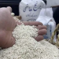 هاشمی گیلان درجه ۱ تضمینی