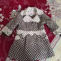 پالتو بچگونه