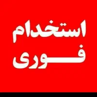 فروشنده ماهر خانم