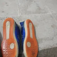 کفش ورزشی|کیف، کفش، کمربند|هشتگرد, شهرک وحدت|دیوار