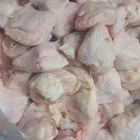 دمبالچه مرغ کیلو۱۰۰تومان