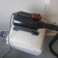 سشوارسگ وگربه
