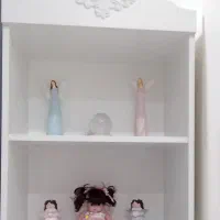 قفسه کتاب
