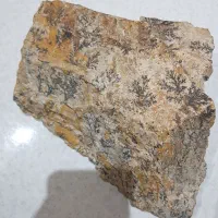 سنگ شجر پاییزه