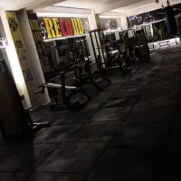 باشگاه بدنسازی|خدمات آموزشی|سهند, |دیوار