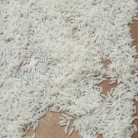 فروش برنج طارم و لاشه طارم