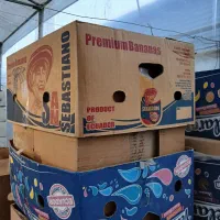 50 عدد کارتن موزی به فروش میرسد|حراج|خاوران, |دیوار