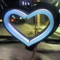 قلب شاخ دار
