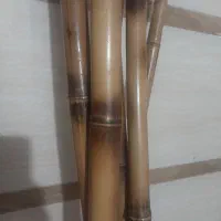 چوب بامبو