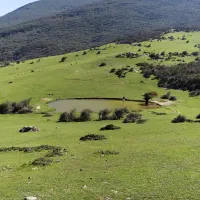 لیدر گیلانگردی|تور و چارتر|رشت, گیل|دیوار