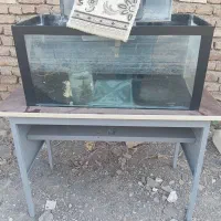 آکواریوم سالم به فروش میرسد.