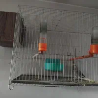 قفس با لوازم