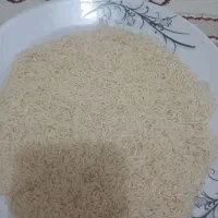 برنج هاشمی|عمده‌فروشی|پارس‌آباد, |دیوار