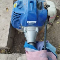 علف زن درحد نو